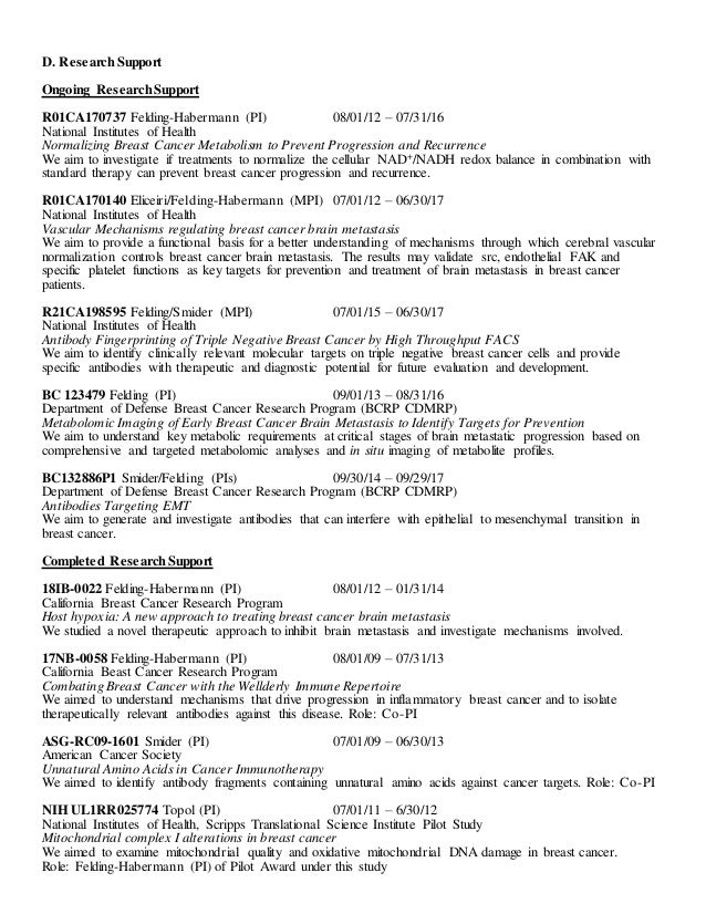 becoming an entrepreneur essay template