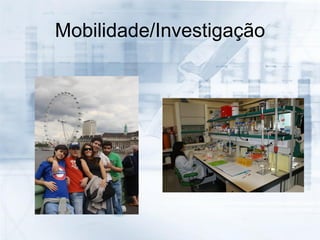Mobilidade/Investigação
 