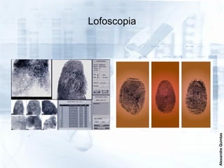 Lofoscopia




Alexandre Quintas
 