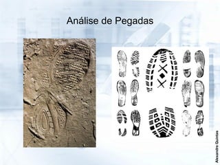 Análise de Pegadas




                     Alexandre Quintas
 