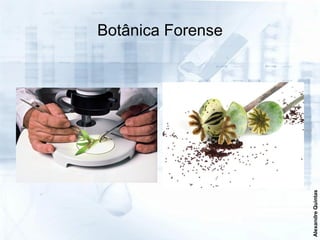 Botânica Forense




Alexandre Quintas
 
