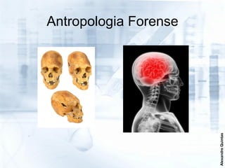 Antropologia Forense




                       Alexandre Quintas
 