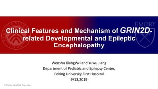 Wenshu XiangWei and Yuwu Jiang
Department of Pediatric and Epilepsy Center,
Peking University First Hospital
9/13/2019
Clinical Features and Mechanism of GRIN2D-
related Developmental and Epileptic
Encephalopathy
© Wenshu XiangWei & Yuwu Jiang
 