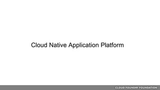 Cloud Native Application Platform
 