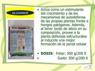 • Actúa como un estimulante
del crecimiento y de los
mecanismos de autodefensa
de las propias plantas frente a
hongos patógenos. Además,
al tener óxido de silicio en su
composición, provee a la
planta defensas estructurales
al inducirle una mejor
formación de la pared celular
• DOSIS: Foliar: 500 g/200 lt
• Suelo: 500 g/200 lt
DIATOPHOS
 