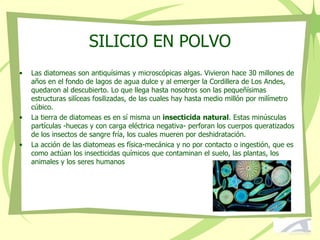 SILICIO EN POLVO
• Las diatomeas son antiquísimas y microscópicas algas. Vivieron hace 30 millones de
años en el fondo de lagos de agua dulce y al emerger la Cordillera de Los Andes,
quedaron al descubierto. Lo que llega hasta nosotros son las pequeñísimas
estructuras silíceas fosilizadas, de las cuales hay hasta medio millón por milímetro
cúbico.
• La tierra de diatomeas es en sí misma un insecticida natural. Estas minúsculas
partículas -huecas y con carga eléctrica negativa- perforan los cuerpos queratizados
de los insectos de sangre fría, los cuales mueren por deshidratación.
• La acción de las diatomeas es física-mecánica y no por contacto o ingestión, que es
como actúan los insecticidas químicos que contaminan el suelo, las plantas, los
animales y los seres humanos
 