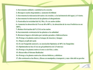 1.-Incrementa calidad y cantidad en la cosecha
2.-Recupera suelos degradados y aumenta fertilidad
3.-Incrementa la tolerancia del suelo a la erosión y a la inclemencia del agua y el viento.
4.-Incrementa la tolerancia de las plantas al ahogamiento
5.-Neutraliza la toxicidad del Al, Mn y Fe en suelos ácidos
6.-Aumenta la absorción de P en un 40 a 80% y la absorción de la roca Fosfórica en un
100%
7.-Reduce lixiviación del N, P, K en los suelos
8.-Incrementala resistencia de las plantas a la salinidad
9.-Restaura lugares afectados por metales pesados e hidrocarburos
10.-Protege a la planta contra el ataque de insectos y hongos
11.-Mejora el pH del suelo
12.-Es un Fungicida natural y en asociación Optimiza al 40% los fungicidas
13.-Optimizahoras luz (Crea un gel polimérico de 2.5 micras)
14.-Protege a la planta contra el estre es de frio y calor.
15.-Desarrolla el Sistema Radicular
16.-Protege a la planta contra los efectos bióticos y abióticos
17.-Da resistencia a las flores y Rosas en manipuleo, transporte y mas vida útil en percha
 