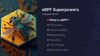 ⬢ What is eBPF?
⬢ Principles
⬢ Observability
⬢ Networking
⬢ Security
⬢ The Future
⬢ Practical Labs
eBPF Superpowers
A dynamic Kernel
 