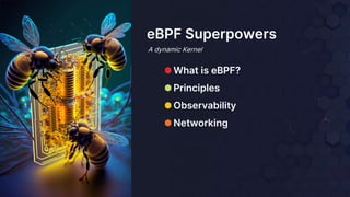 ⬢ What is eBPF?
⬢ Principles
⬢ Observability
⬢ Networking
eBPF Superpowers
A dynamic Kernel
 
