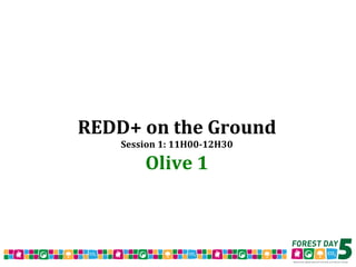REDD+ on the Ground Session 1: 11H00-12H30 Olive 1 