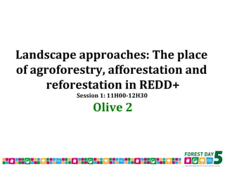 Forest Day 5 Voting Results – Morning Sessions