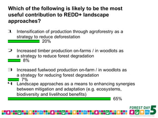 Forest Day 5 Voting Results – Morning Sessions