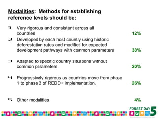 Forest Day 5 Voting Results – Morning Sessions