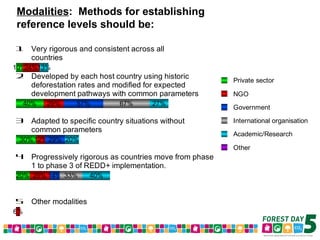 Forest Day 5 Voting Results – Morning Sessions