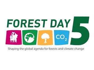 Forest Day 5 Voting Results – Morning Sessions