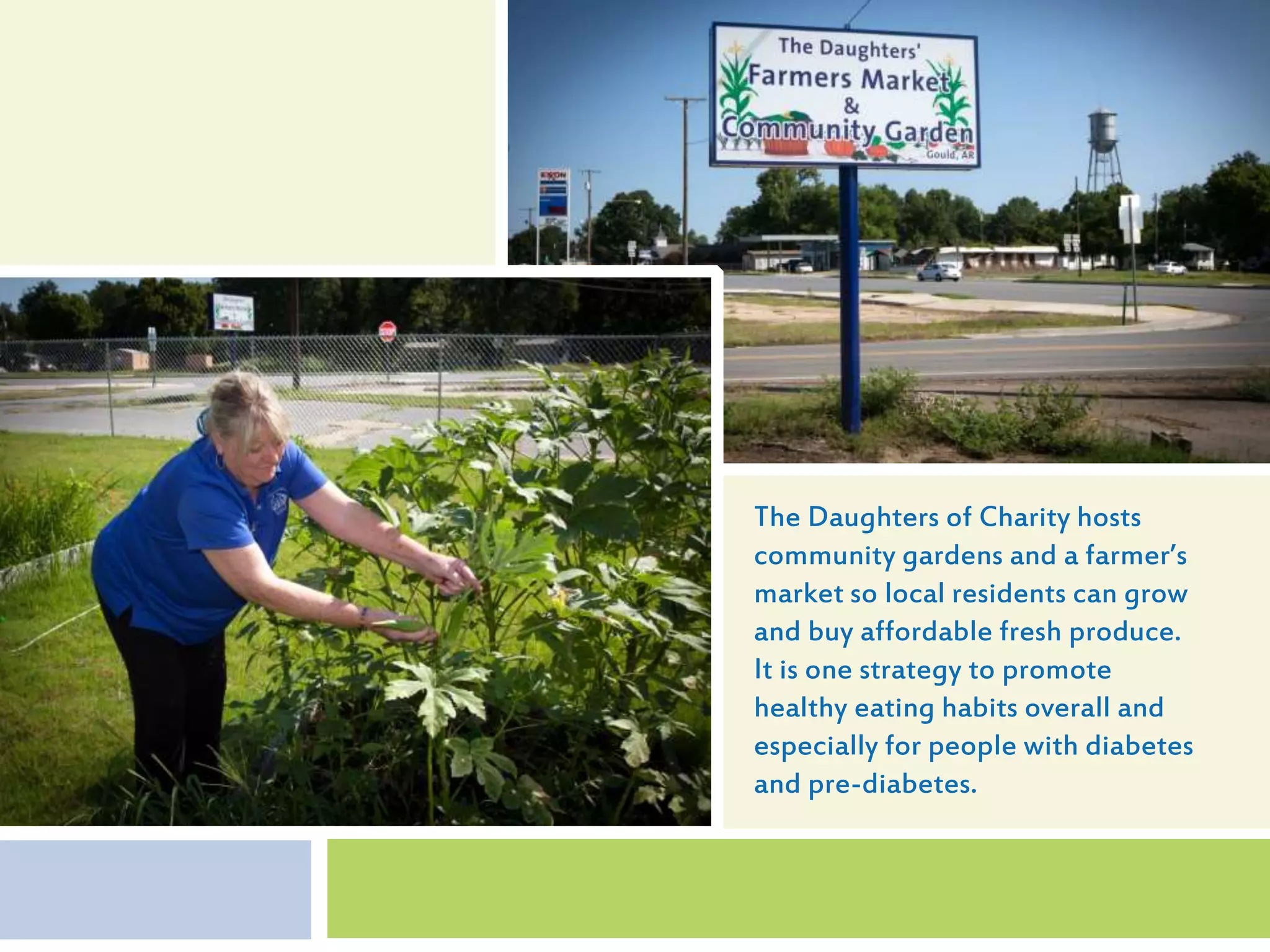 The Daughters of Charity hosts
community gardens and a farmer’s
market so local residents can grow
and buy affordable fresh produce.
It is one strategy to promote
healthy eating habits overall and
especially for people with diabetes
and pre-diabetes.
 