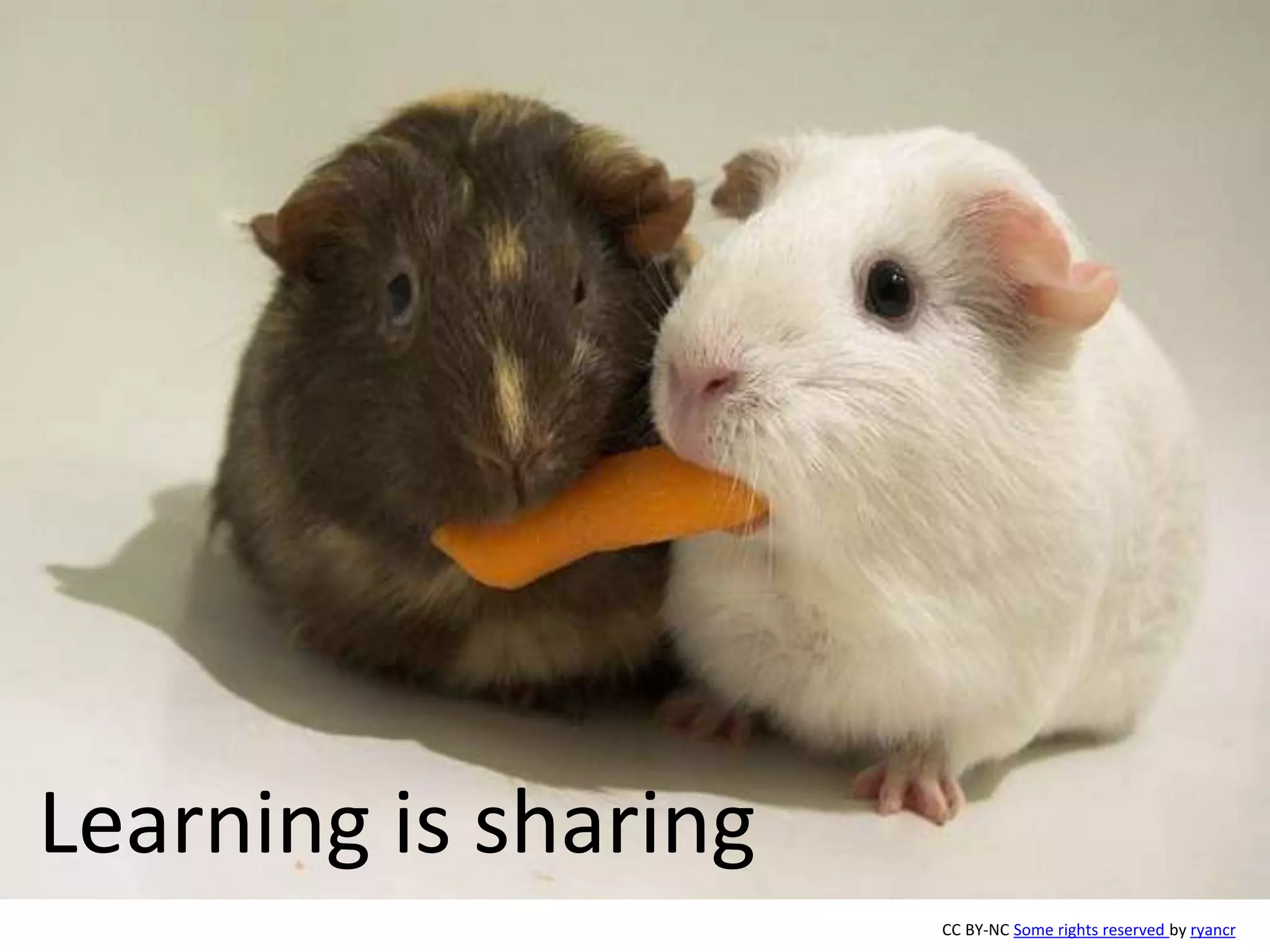 Learning is sharing
                      CC BY-NC Some rights reserved by ryancr
 