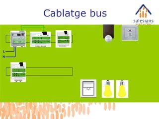 L N Cablatge bus 
