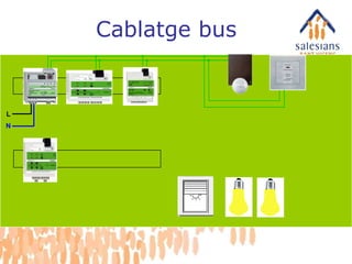 L N Cablatge bus 