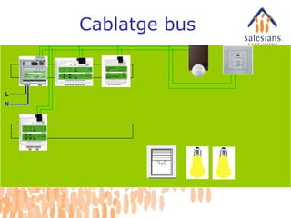 L N Cablatge bus 