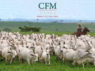 CFM
                 informa
             Edição nº 76 | Março 2013




Nós preferimos                           0800-127111
 