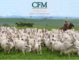 CFM 
informa 
Edição nº 95 | Novembro 2014 
Nós preferimos 0800-127111 
 