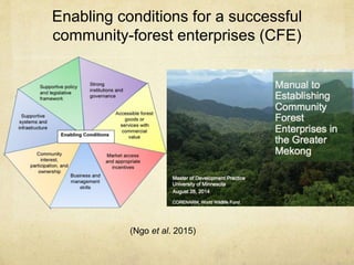 Enabling conditions for a successful
community-forest enterprises (CFE)
(Ngo et al. 2015)
 