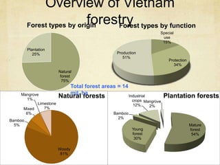 Overview of Vietnam
forestry
Natural
forest
75%
Plantation
25%
Forest types by origin
Special
use
15%
Protection
34%
Production
51%
Forest types by function
Woody
81%
Bamboo
5%
Mixed
6%
Mangrove
1%
Limestone
7%
Natural forests
Mature
forest
54%
Young
forest
30%
Bamboo
2%
Industrial
crops
12%
Mangrove
2%
Plantation forests
Total forest areas = 14
mil. ha
 