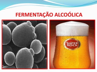 FERMENTAÇÃO ALCOÓLICA
 