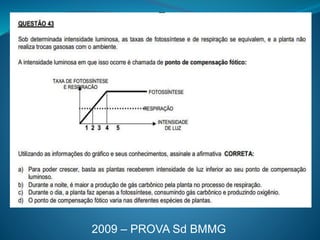 2009 – PROVA Sd BMMG
 