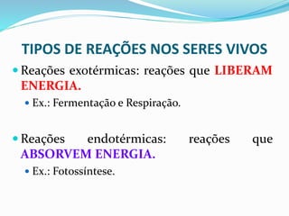 TIPOS DE REAÇÕES NOS SERES VIVOS
 Reações exotérmicas: reações que LIBERAM
ENERGIA.
 Ex.: Fermentação e Respiração.
 Reações endotérmicas: reações que
ABSORVEM ENERGIA.
 Ex.: Fotossíntese.
 