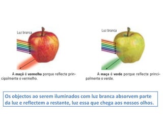 Os objectos ao serem iluminados com luz branca absorvem parte da luz e reflectem a restante, luz essa que chega aos nossos olhos. 
