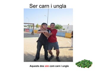 Ser  carn i ungla Aquests dos  són   com carn i ungla 