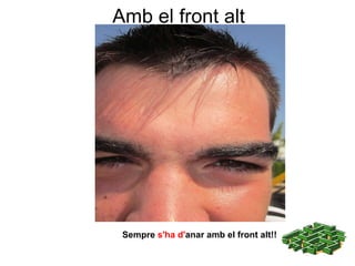 Amb el front alt Sempre  s'ha d' anar amb el front alt !! 