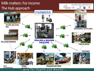 Dairy systems for smallholders in poor countries: Options for improving livelihoods