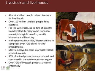 Dairy systems for smallholders in poor countries: Options for improving livelihoods