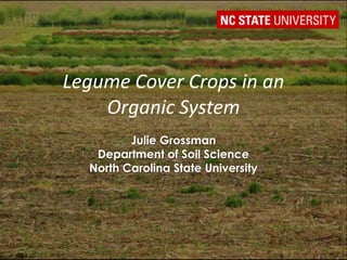 Legume Cover Crops in an
    Organic System
         Julie Grossman
   Department of Soil Science
  North Carolina State University
 
