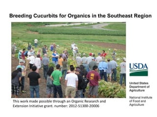 Breeding Cucurbits for Organics in the Southeast Region
This work made possible through an Organic Research and
Extension Initiative grant. number: 2012-51300-20006
 