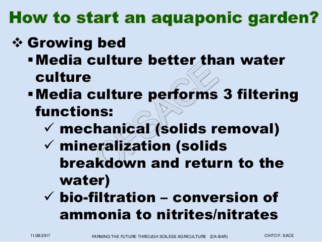 production technology using hydroponics and aquaponics