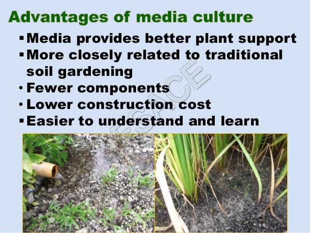 production technology using hydroponics and aquaponics