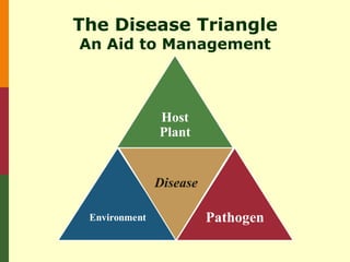 The Disease Triangle
An Aid to Management



               Host
               Plant


               Disease

 Environment             Pathogen
 