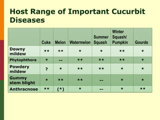 Host Range of Important Cucurbit
Diseases
                                            Winter
                                     Summer Squash/
               Cuke Melon Watermelon Squash Pumpkin   Gourds
Downy
               **    **       *        *       **       *
mildew
Phytophthora    *     --     **       **       **       *
Powdery
                ?     *      **       **       *        *
mildew
Gummy
                *    **      **        --      *        *
stem blight
Anthracnose    **    (*)      *        --      *        **
 