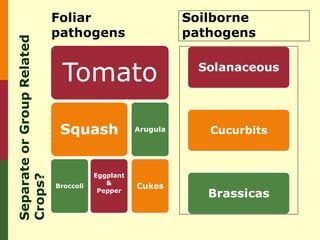 Foliar                          Soilborne
                            pathogens                       pathogens
Separate or Group Related



                             Tomato                          Solanaceous




                             Squash               Arugula      Cucurbits



                                       Eggplant
Crops?




                                          &
                            Broccoli              Cukes
                                        Pepper
                                                               Brassicas
 