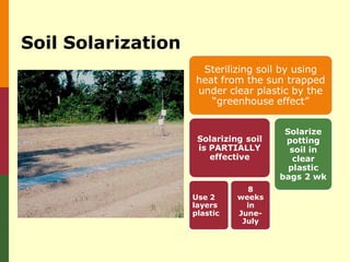 Soil Solarization
                     Sterilizing soil by using
                    heat from the sun trapped
                    under clear plastic by the
                       “greenhouse effect”


                                        Solarize
                     Solarizing soil    potting
                     is PARTIALLY        soil in
                        effective         clear
                                         plastic
                                       bags 2 wk
                                 8
                    Use 2     weeks
                    layers      in
                    plastic   June-
                               July
 