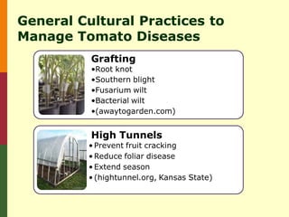 General Cultural Practices to
Manage Tomato Diseases
          Grafting
          •Root knot
          •Southern blight
          •Fusarium wilt
          •Bacterial wilt
          •(awaytogarden.com)


          High Tunnels
         • Prevent fruit cracking
         • Reduce foliar disease
         • Extend season
         • (hightunnel.org, Kansas State)
 