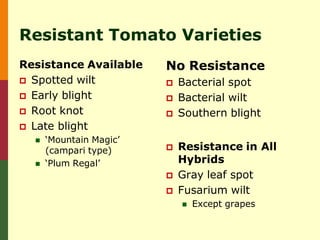 Resistant Tomato Varieties
Resistance Available     No Resistance
 Spotted wilt              Bacterial spot
 Early blight              Bacterial wilt
 Root knot                 Southern blight
 Late blight
     ‘Mountain Magic’
      (campari type)        Resistance in All
     ‘Plum Regal’           Hybrids
                            Gray leaf spot
                            Fusarium wilt
                                Except grapes
 