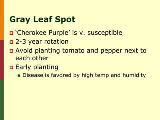 Gray Leaf Spot
 ‘Cherokee Purple’ is v. susceptible
 2-3 year rotation
 Avoid planting tomato and pepper next to
  each other
 Early planting
       Disease is favored by high temp and humidity
 
