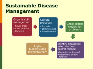 Sustainable Disease
Management
  Organic soil           Cultural
  management             practices                 Check plants
  • Cover crops          • Exclude,                 weekly for
  • Crop rotation        • Eliminate and            problems
  • Compost              • Avoid disease




                                           Identify diseases to
                    Apply                  select the best
                 biopesticides             control method
                preventatively             •Bacterium or fungus?
                                           •Water mold or true
                                            fungus?
 