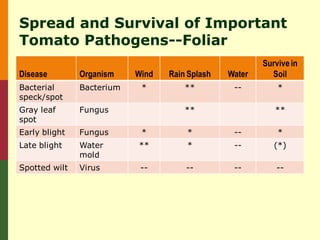 Spread and Survival of Important
Tomato Pathogens--Foliar
                                                        Survive in
Disease        Organism    Wind   Rain Splash   Water     Soil
Bacterial      Bacterium    *         **         --         *
speck/spot
Gray leaf      Fungus                 **                   **
spot
Early blight   Fungus       *         *          --         *
Late blight    Water       **         *          --        (*)
               mold
Spotted wilt   Virus        --        --         --        --
 