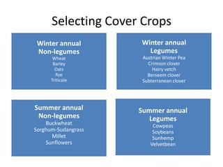 Selecting Cover Crops
Winter annual
Non-legumes
Wheat
Barley
Oats
Rye
Triticale

Summer annual
Non-legumes
Buckwheat
Sorghum-Sudangrass
Millet
Sunflowers

Winter annual
Legumes
Austrian Winter Pea
Crimson clover
Hairy vetch
Berseem clover
Subterranean clover

Summer annual
Legumes
Cowpeas
Soybeans
Sunhemp
Velvetbean

 